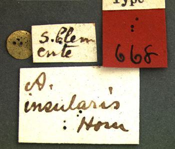 Media type: image;   Entomology 668 Aspect: labels